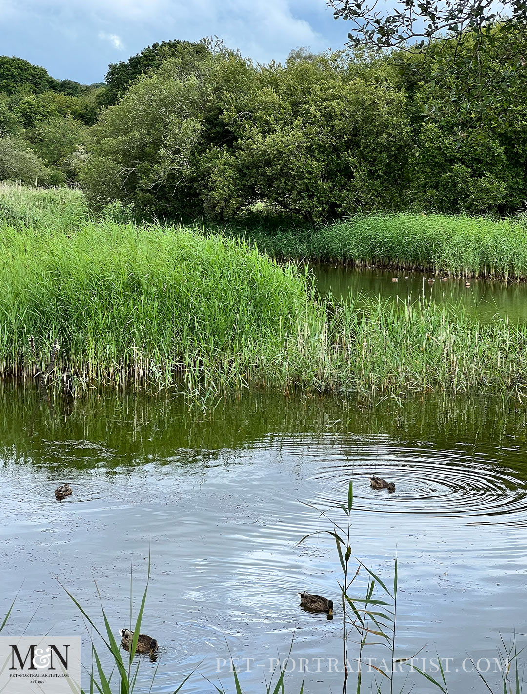 Cilgerran Wildlife Park