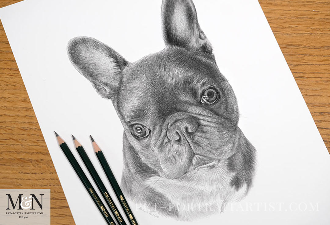 Leons Pencil portrait by Melanie Phillips