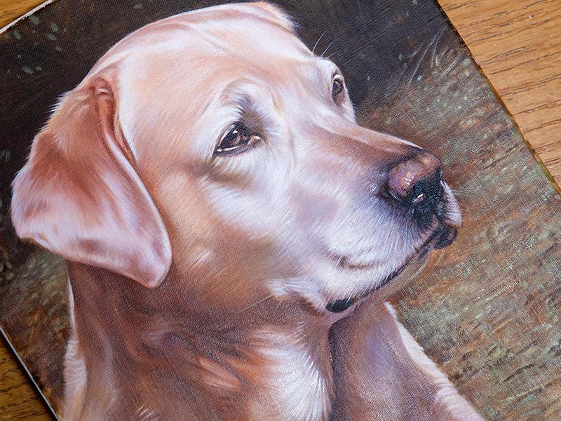 A Special Commission Of Two Beautiful Labradors