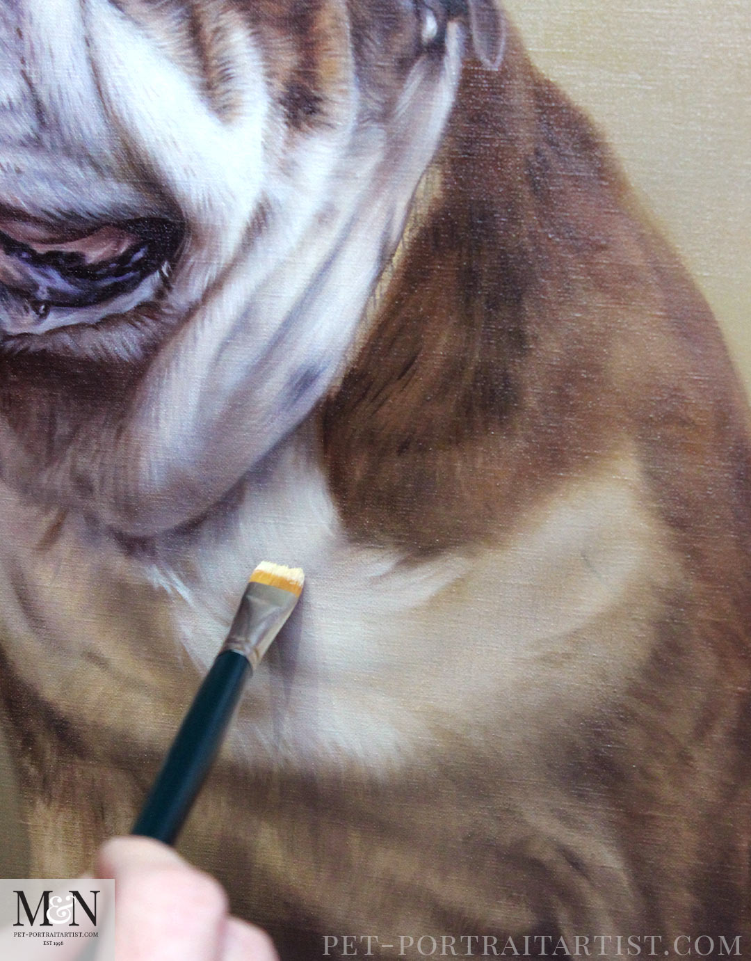 Everything You Need to Know About Pet Portraits