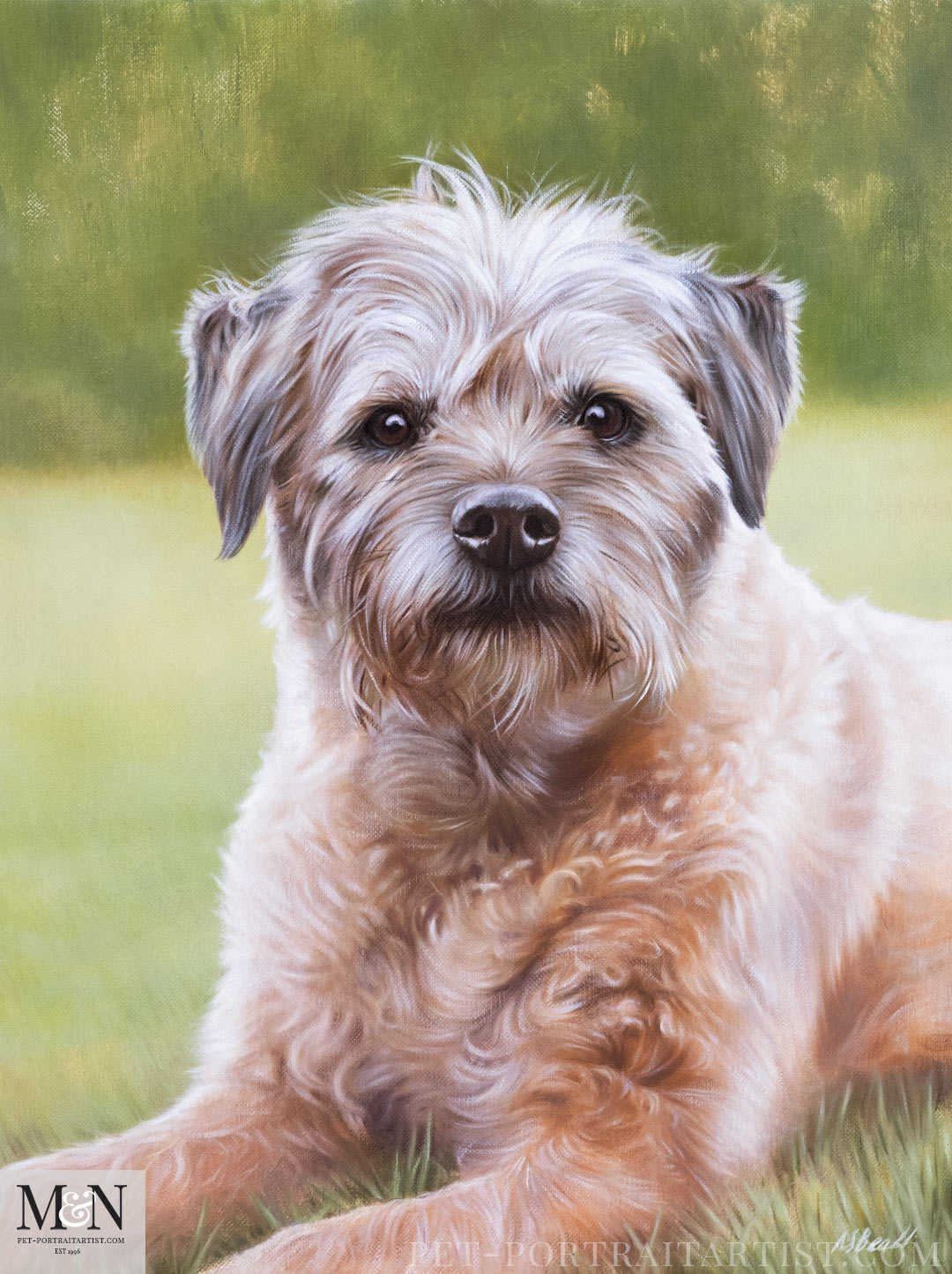 Norfolk Terrier Pet Portraits in Oil