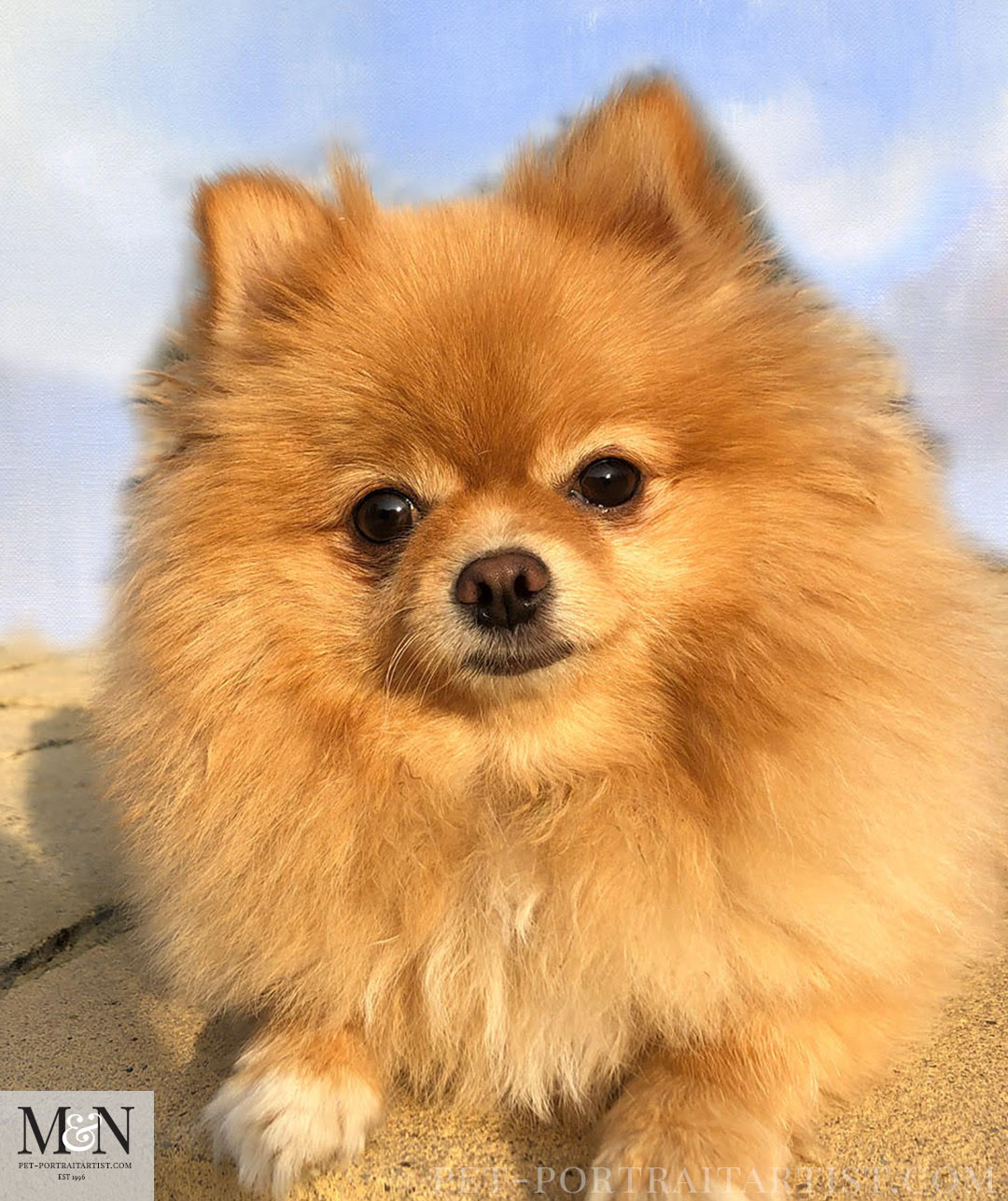 Oil Pet Portrait of Boo The Pomeranian