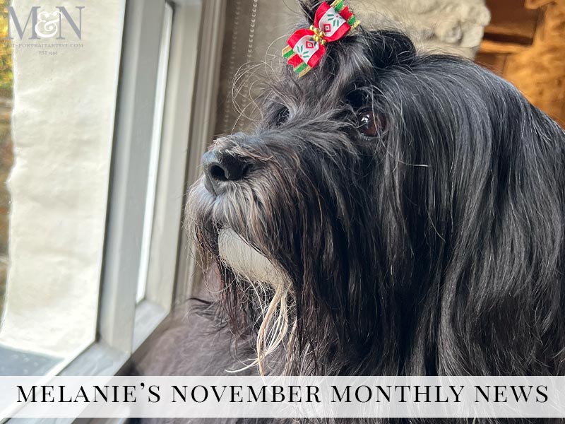 Melanie’s Monthly News in November