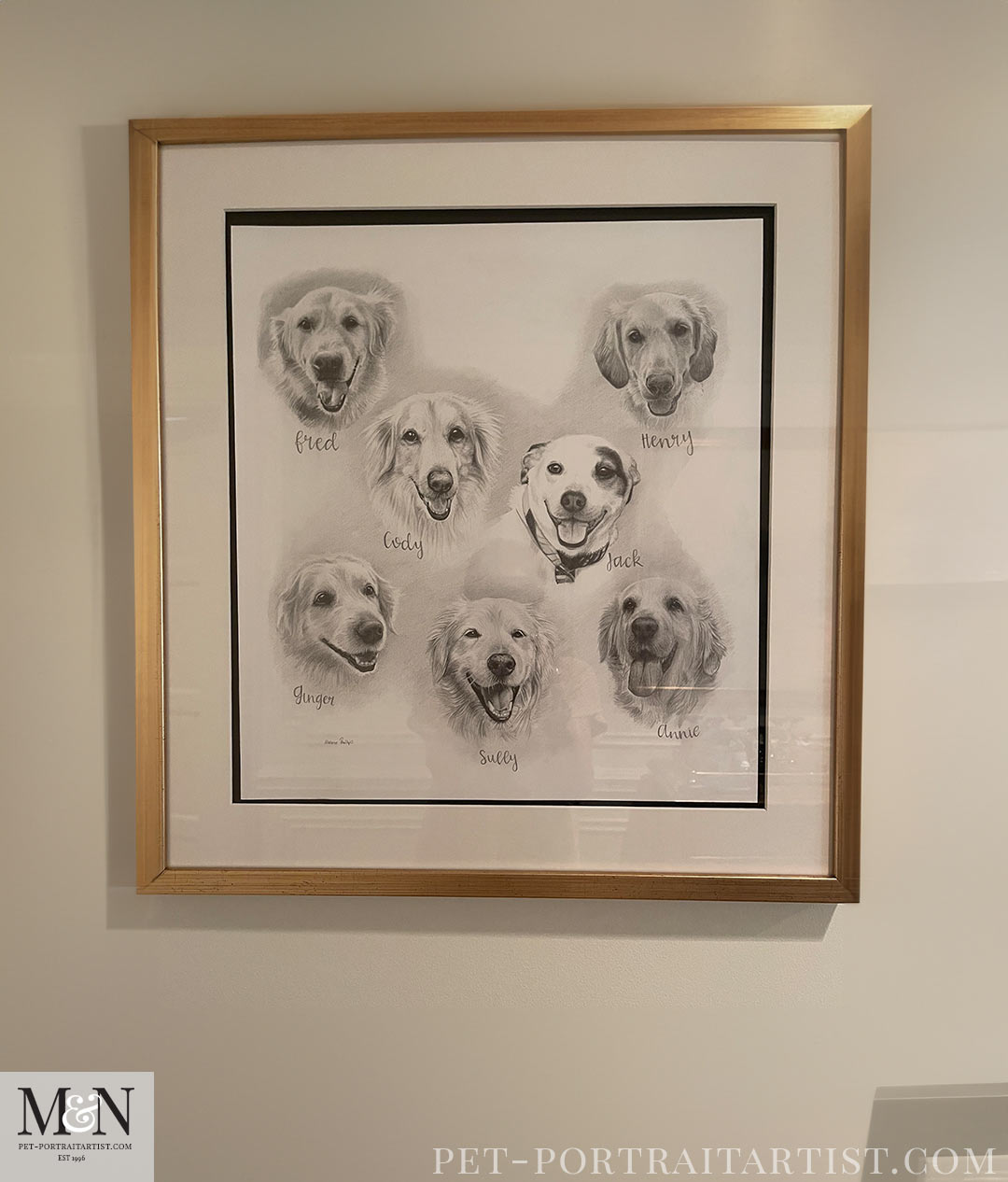 Seven Dogs, One Portrait – A Special Pet Portrait