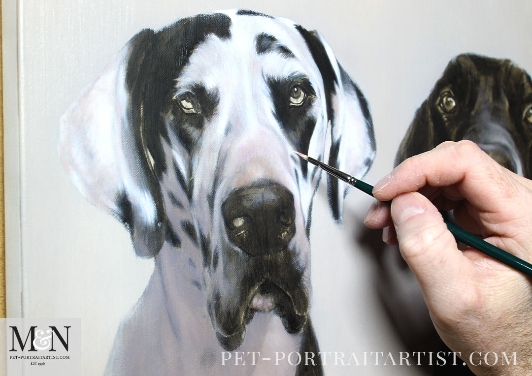A close up of the portrait of the Great Danes, while Nicholas is painting. 