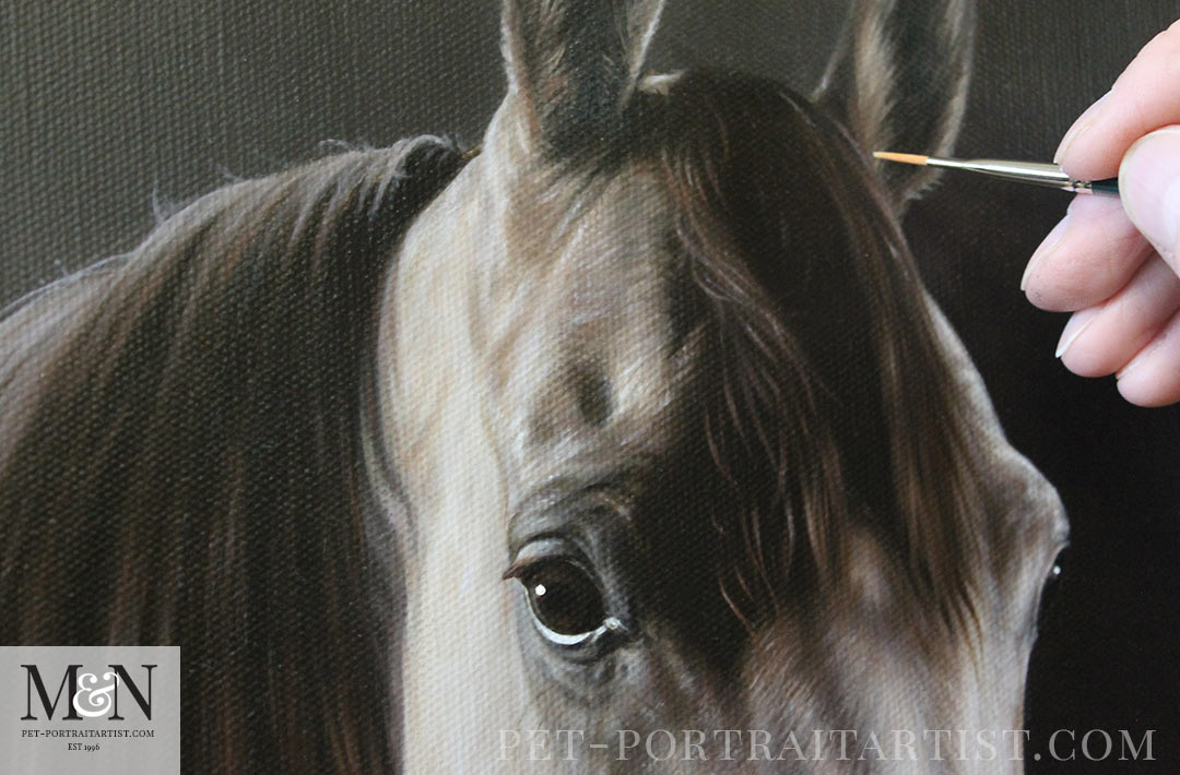 Horse Oil Painting final stages