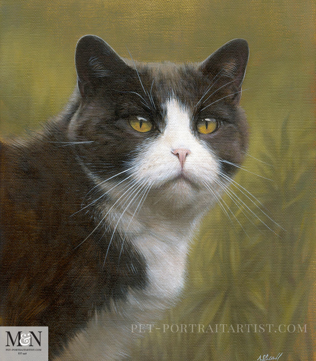 Cat Portraits in Oils
