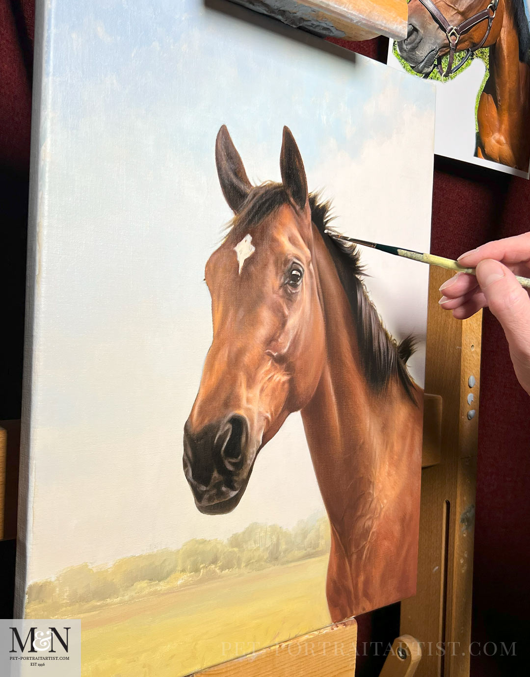 horse oil pet portrait of Tilly in progress