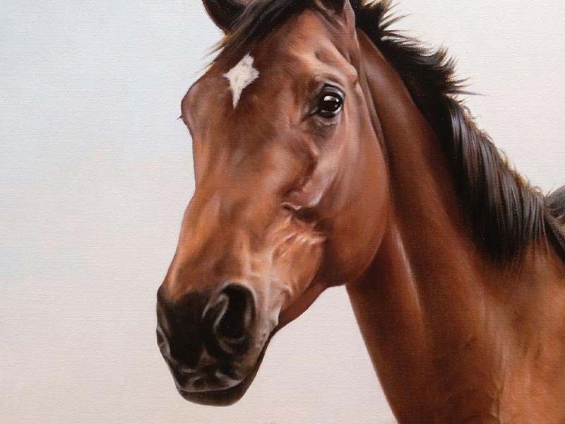 Horse Oil Pet Portrait of Tilly