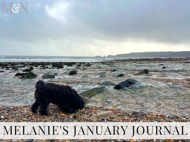 Melanie’s January Journal