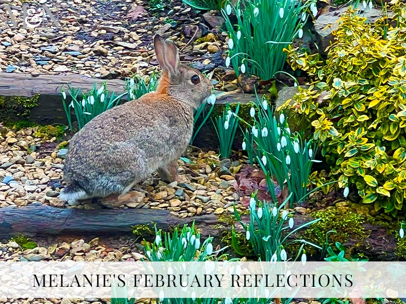 Melanie’s February Reflections