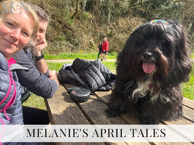 Melanie’s April Tales