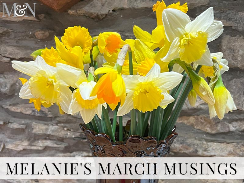 Melanie’s March Musings