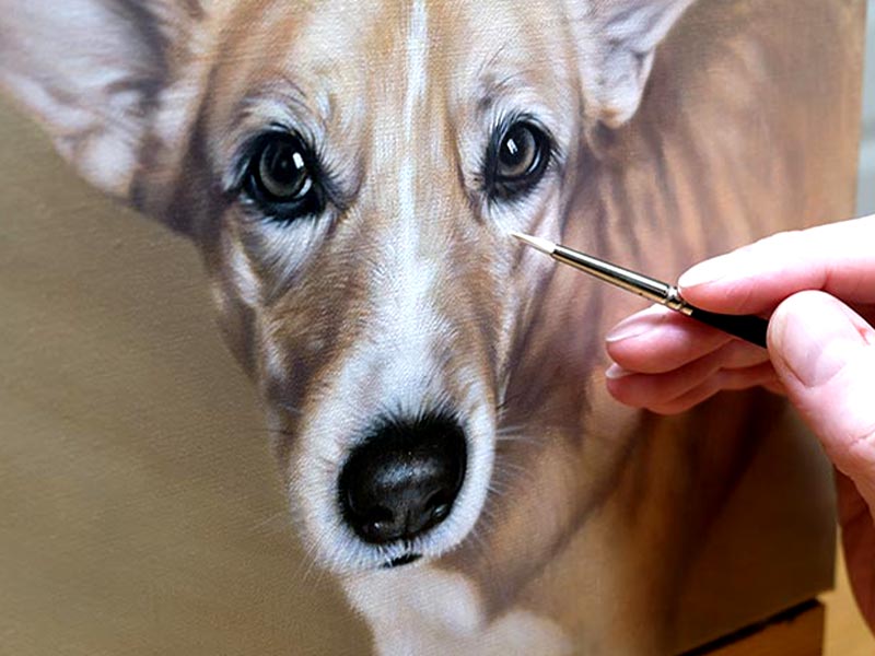 How Long Does a Pet Portrait Take?