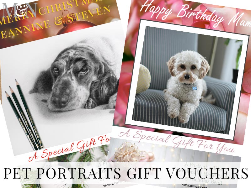 Pet Portraits Gift Vouchers