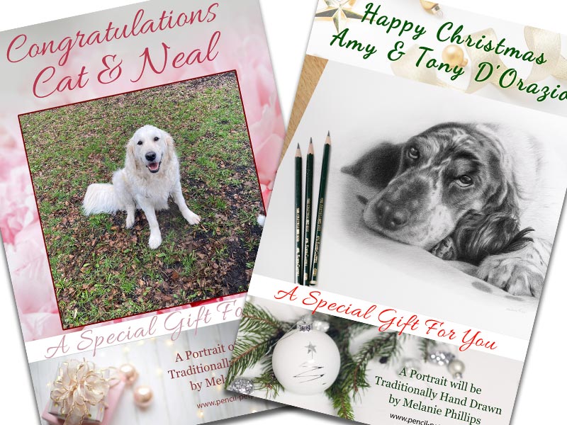 Pet Portraits Gift Vouchers