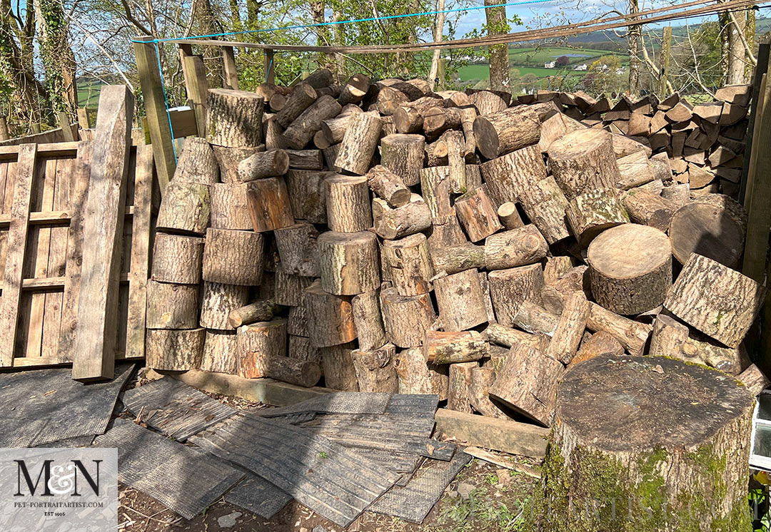 Stack of logs to split