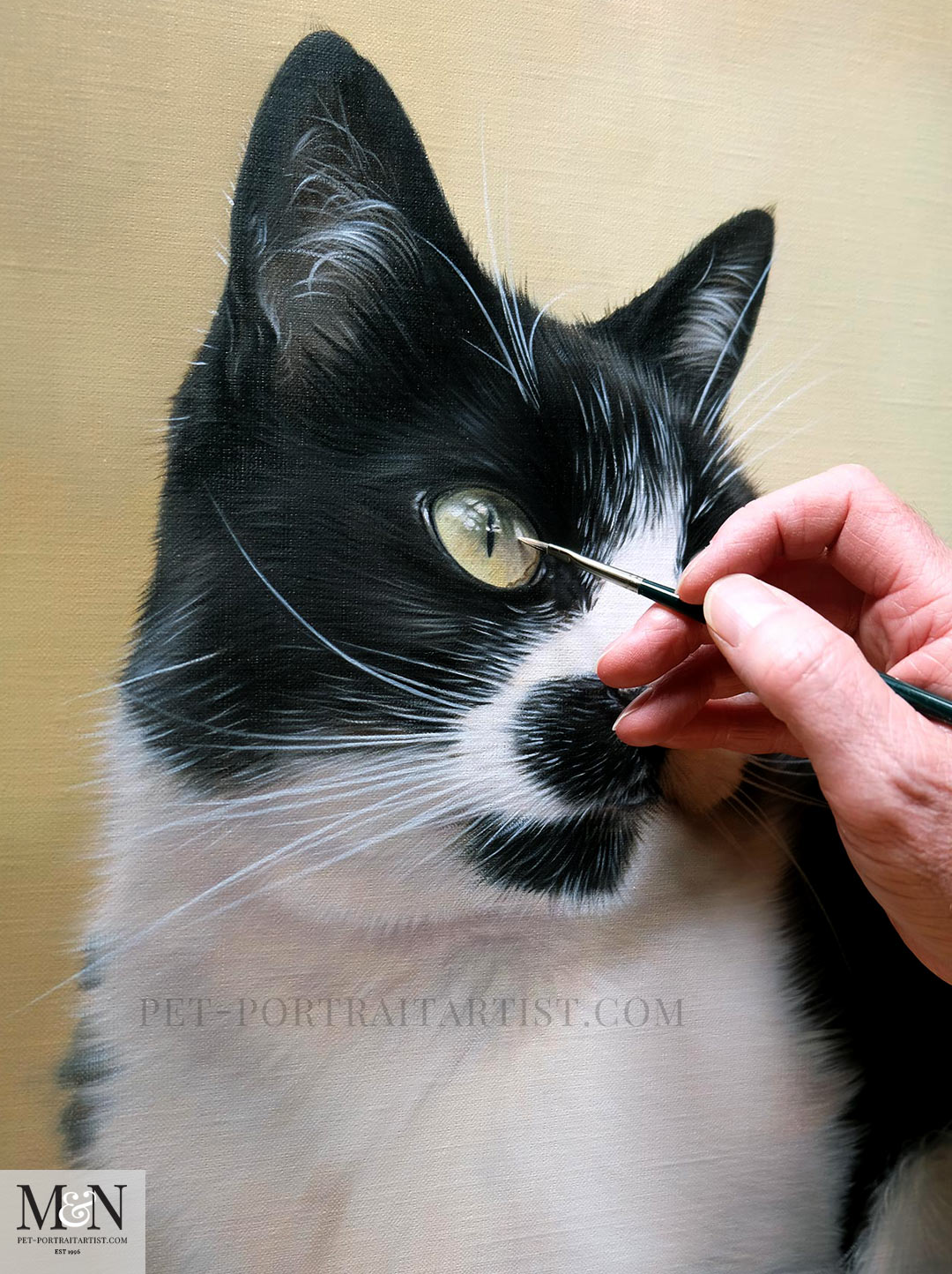 Final touches of the Cat Oil Painting of Tiddles