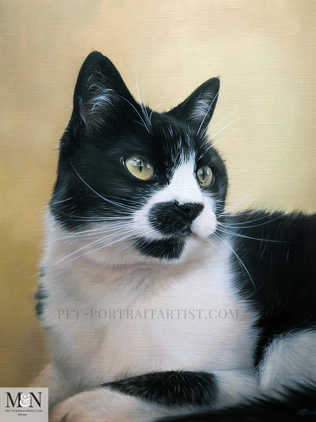 The final photo of the Cat Oil Painting of Tiddles