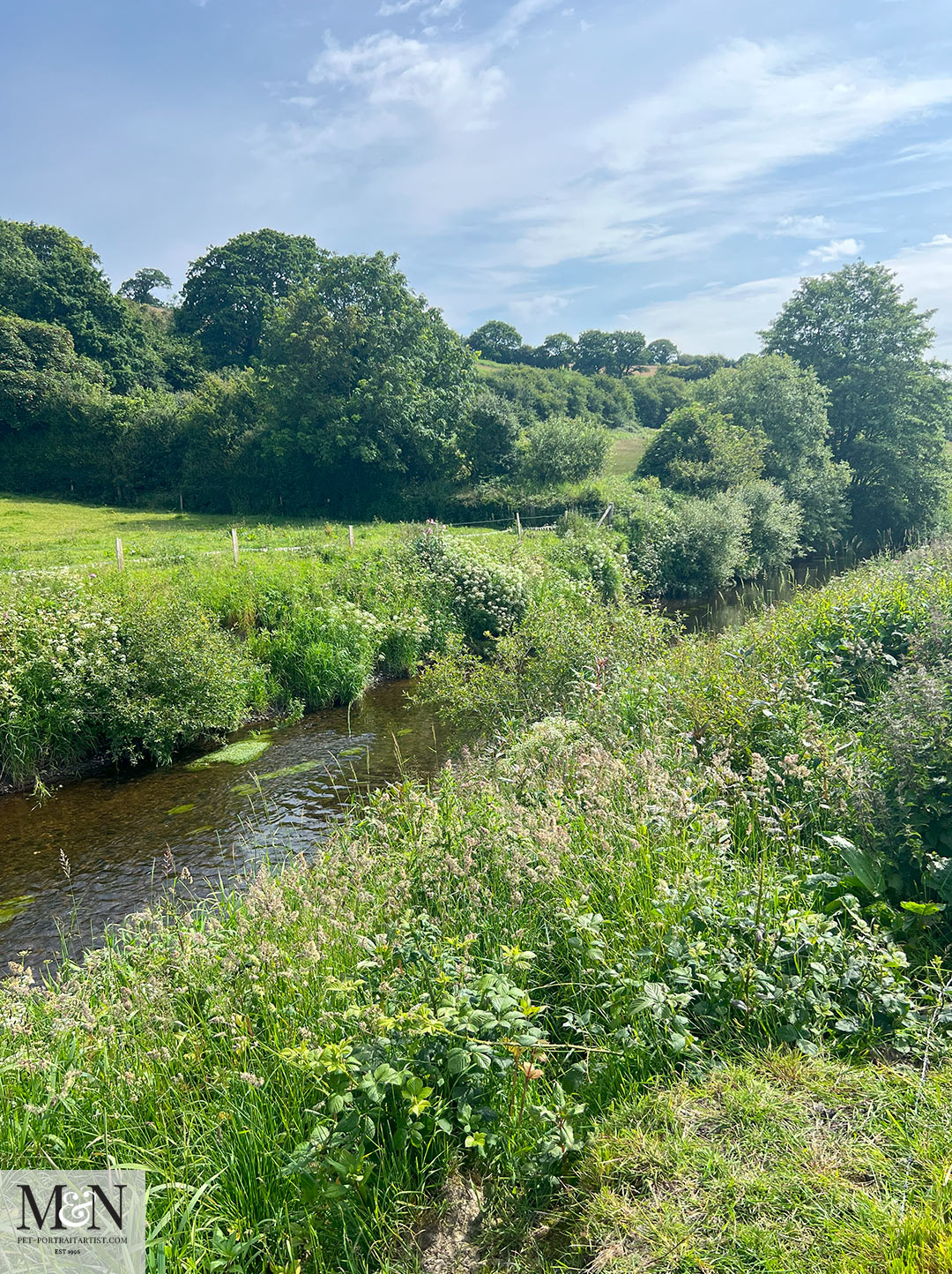 Beautiful Aeron river on the Aberaeron to Lampeter Walk