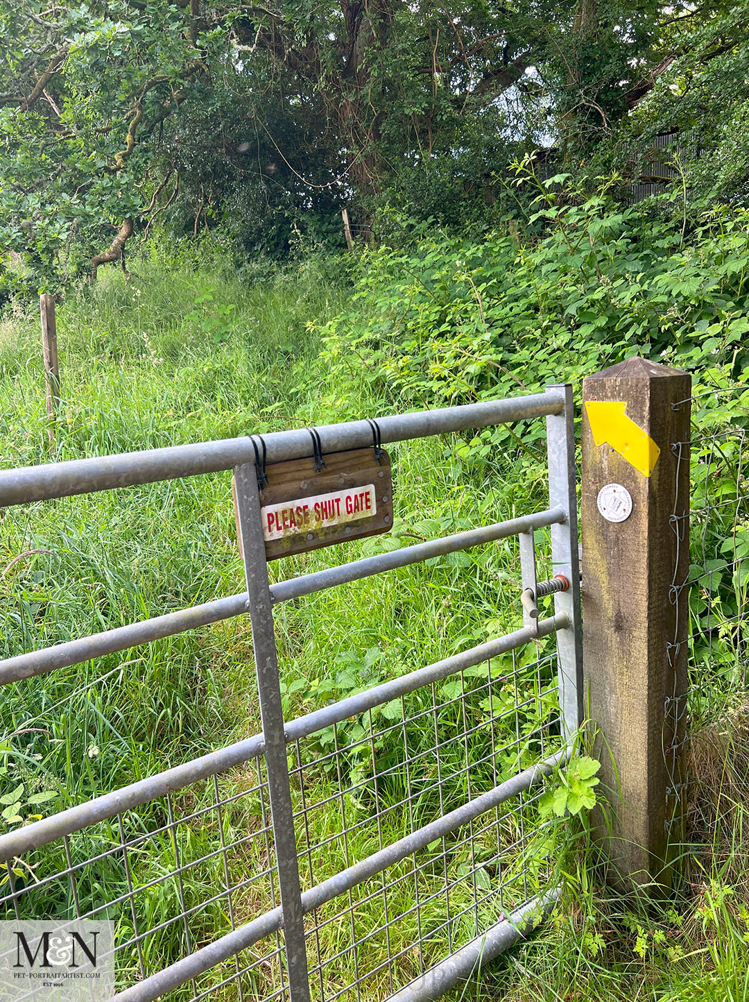 Aberaeron to Lampeter Walk