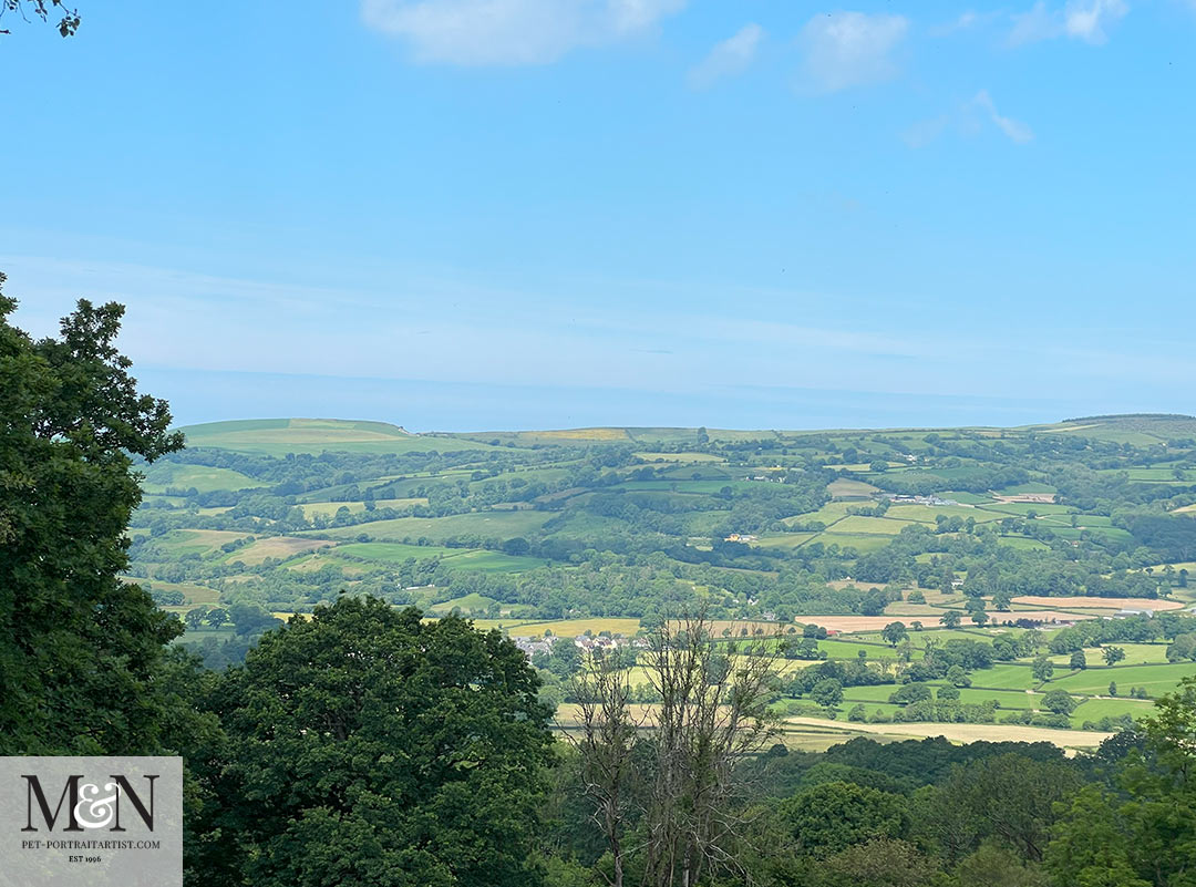 The views on the walk were stunning, looking over the valley