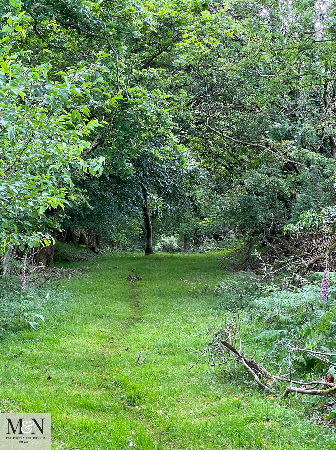 Fabulous trails on the route walk