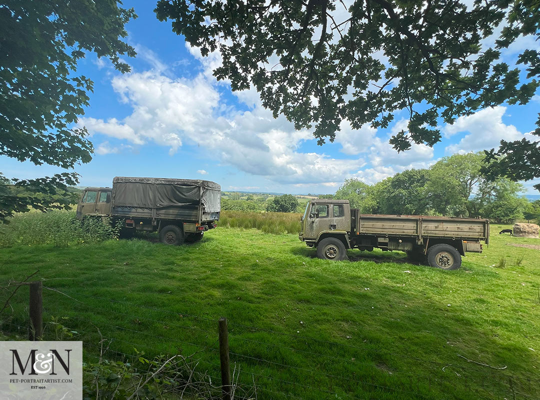 Army trucks in the field 