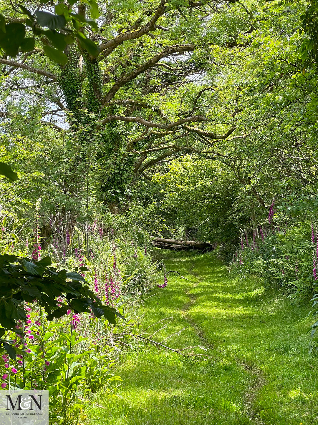 Aberaeron to Lampeter Walk