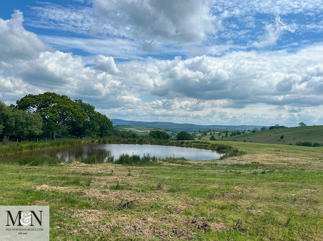 wildlife ponds along the way.