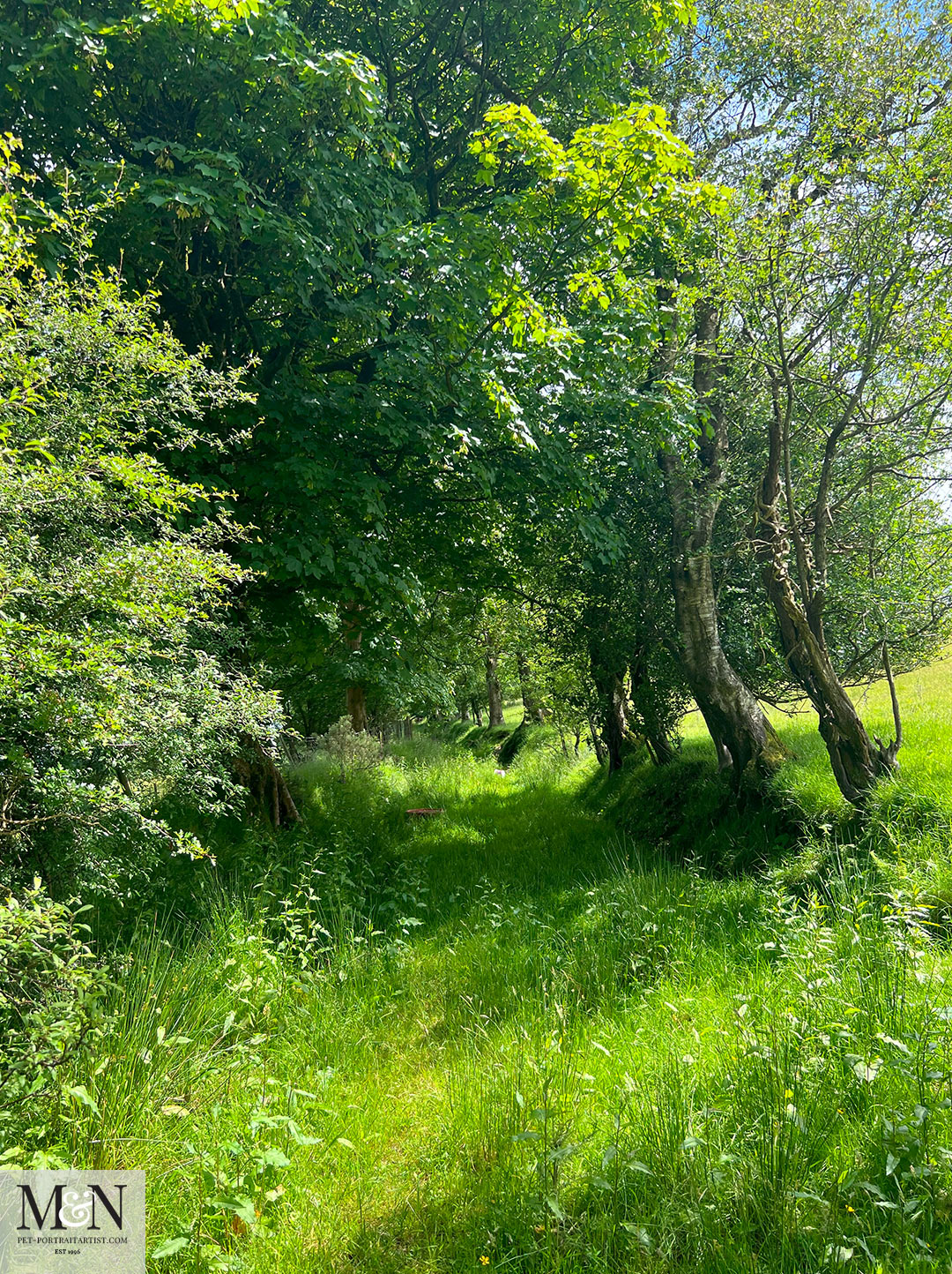 Aberaeron to Lampeter Walk