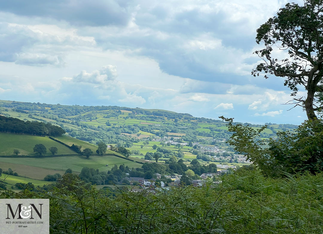 View looking towards Lampeter 