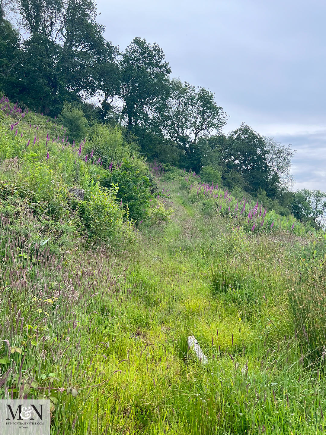 We were determined to climb to the top of the hill just in case it was the right direction! 