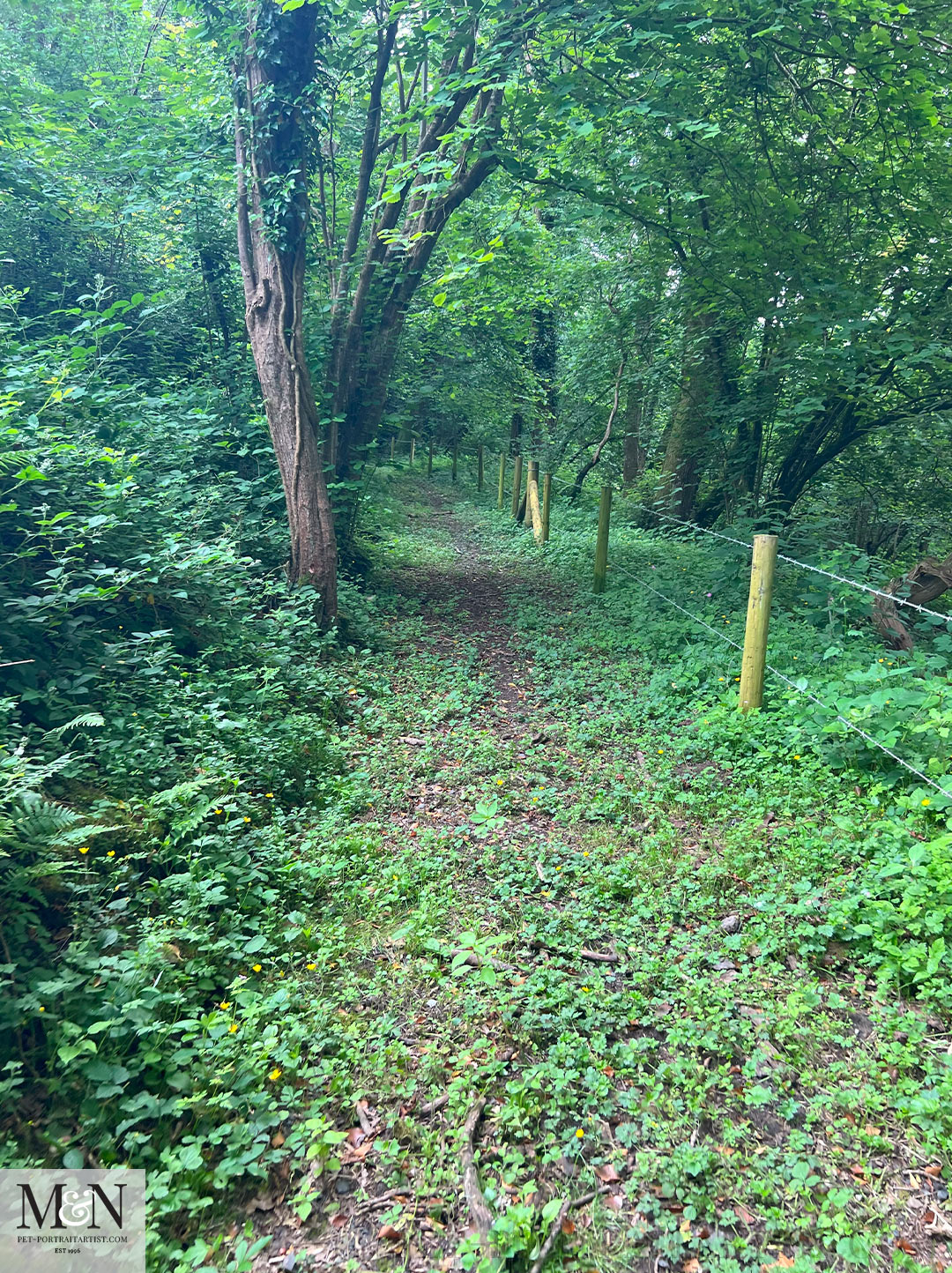 Aberaeron to Lampeter Walk