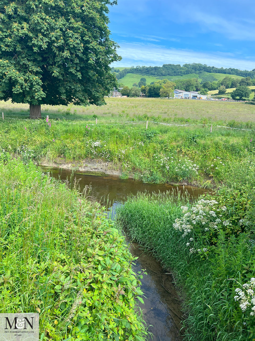 The Aeron valley and river