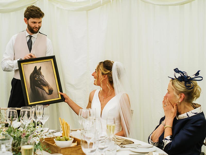 Horse Portrait For A Wedding