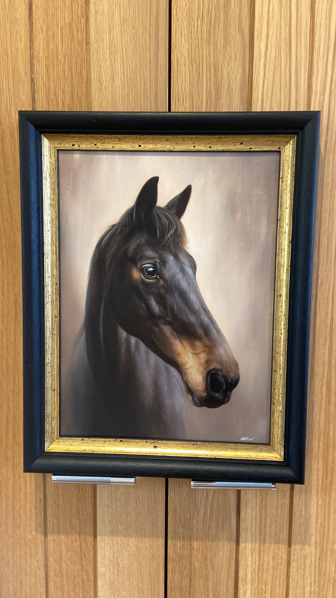 Horse Portrait For A Wedding