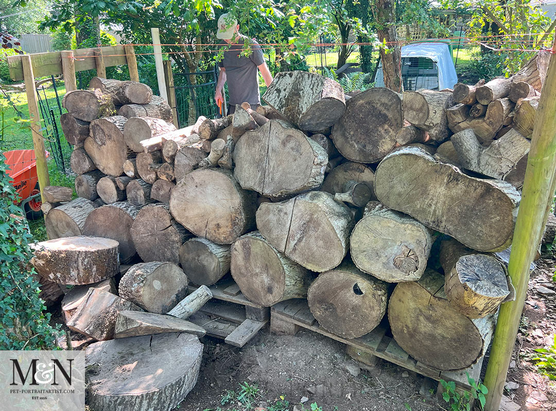 Logs, Logs and more logs