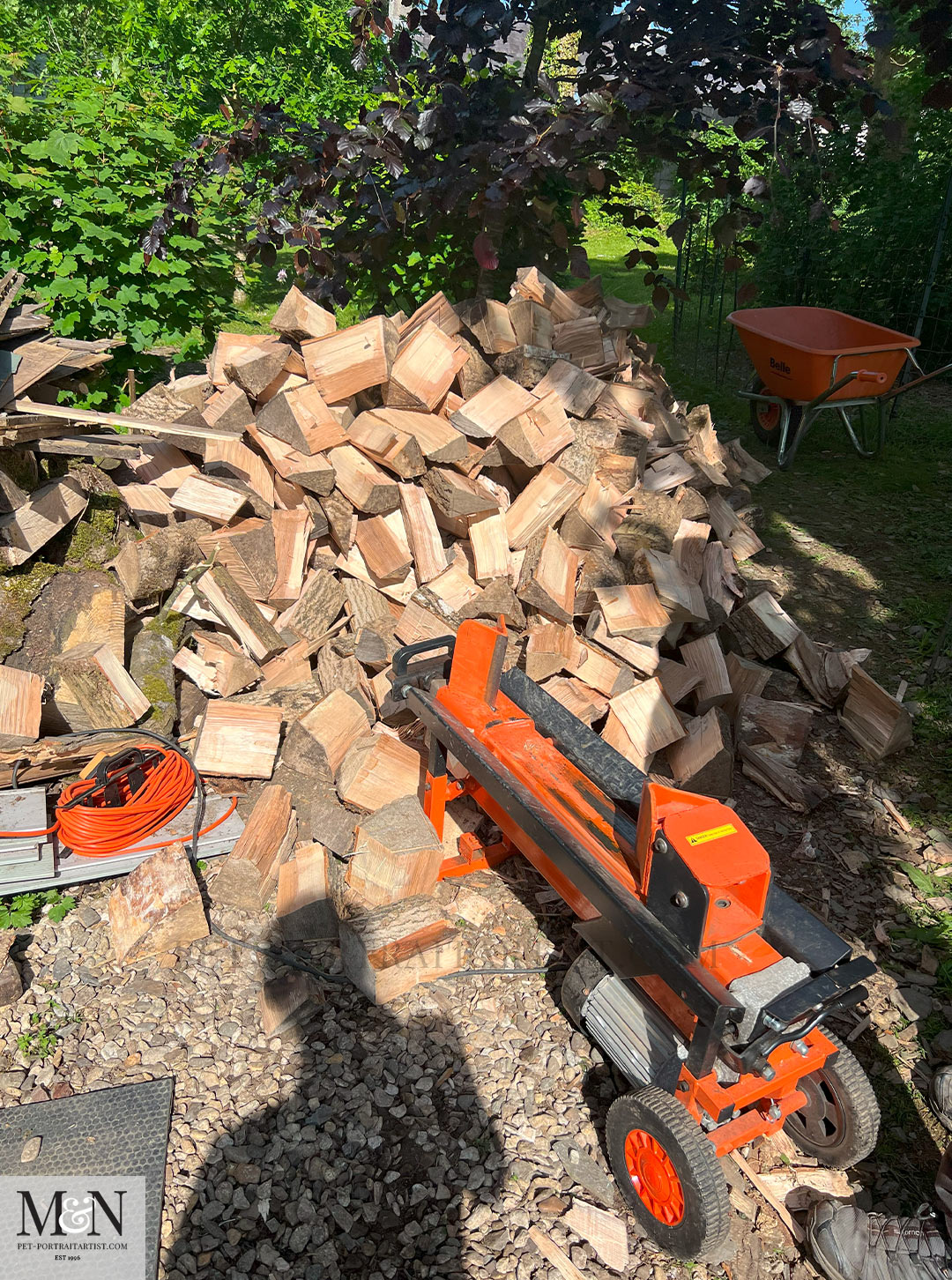 Stack of split logs