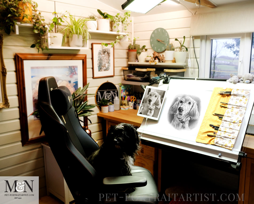 Best Drawing Papers for Pet Portraits in Pencil