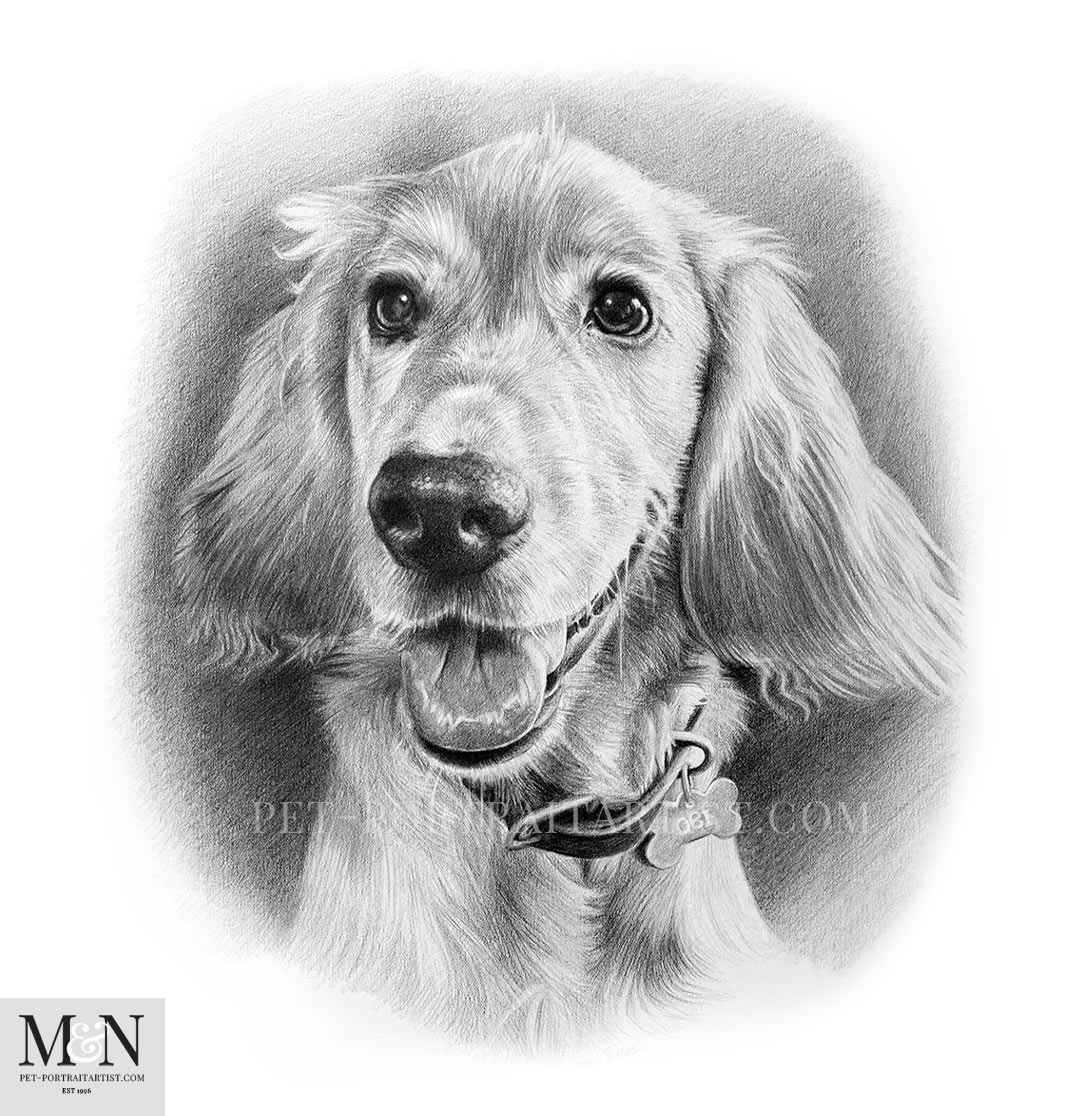 Best Drawing Papers for Pet Portraits in Pencil