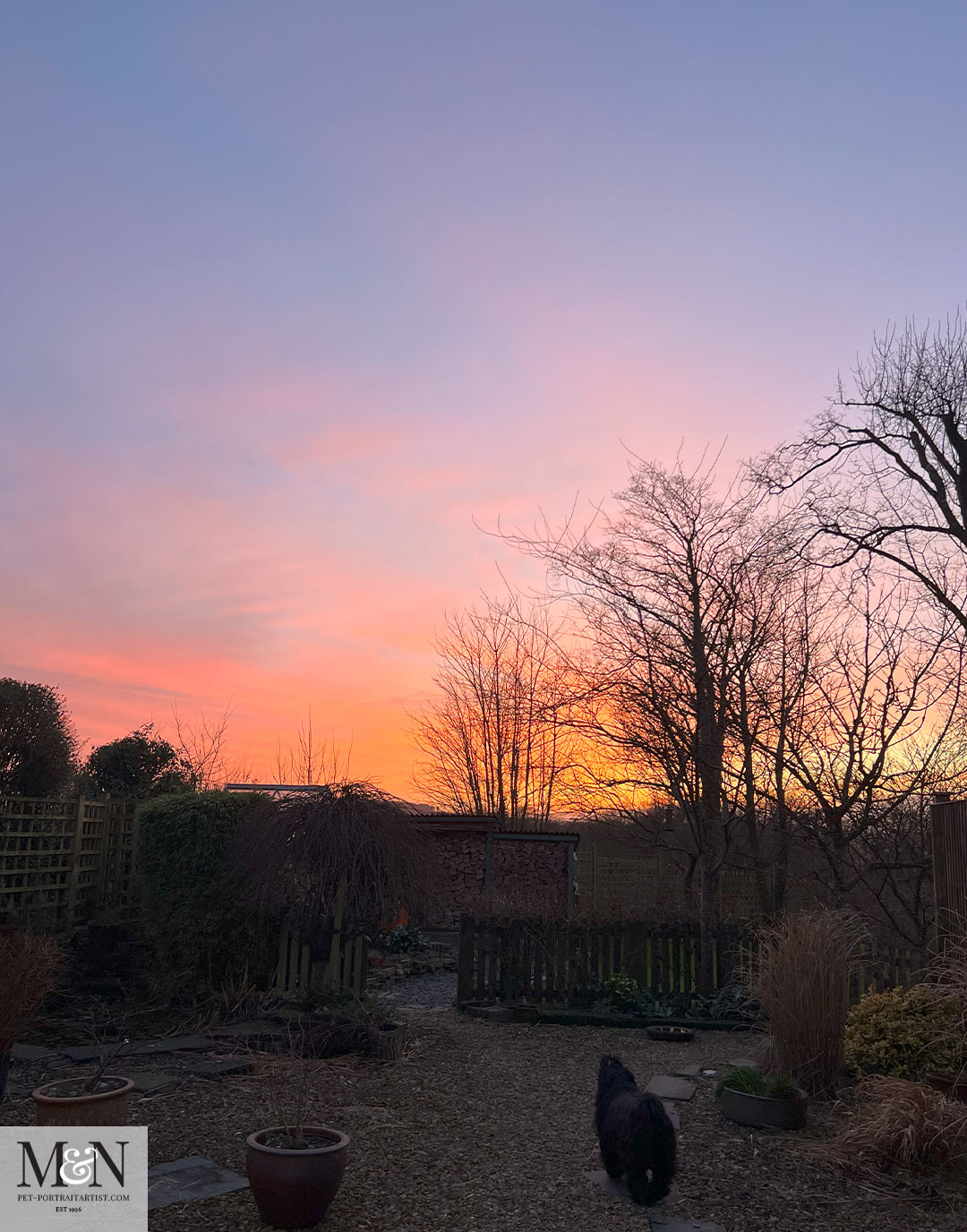 Garden Sunsets