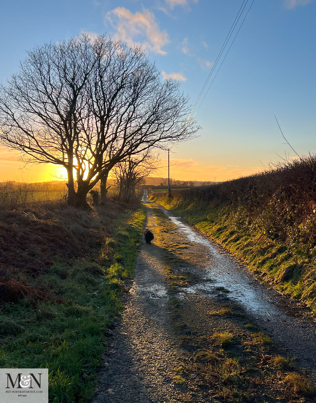 Beautiful winter sunsets in west wales