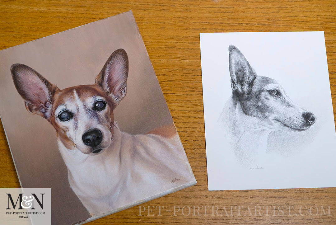 Pet Portrait Commission FAQs: Your Top Questions Answered