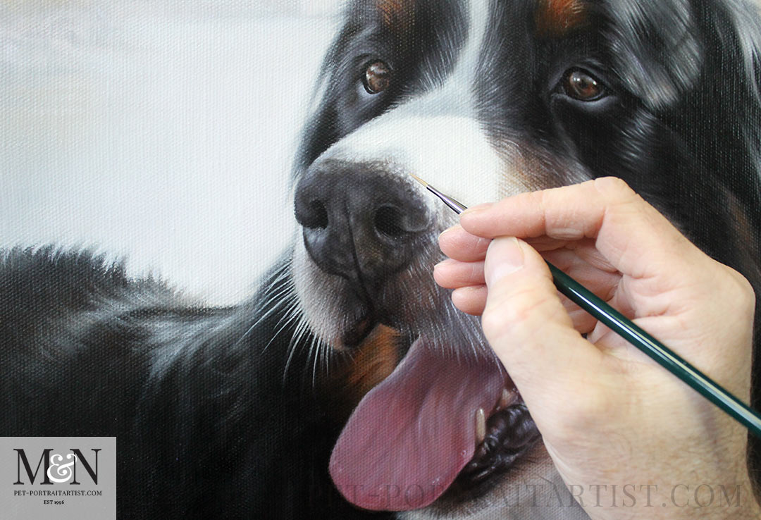 Pet portraits painted traditionally by Nicholas Beall