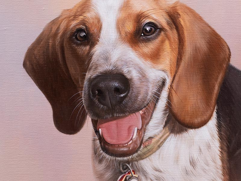 Pet Portrait Commission FAQs: Your Top Questions Answered