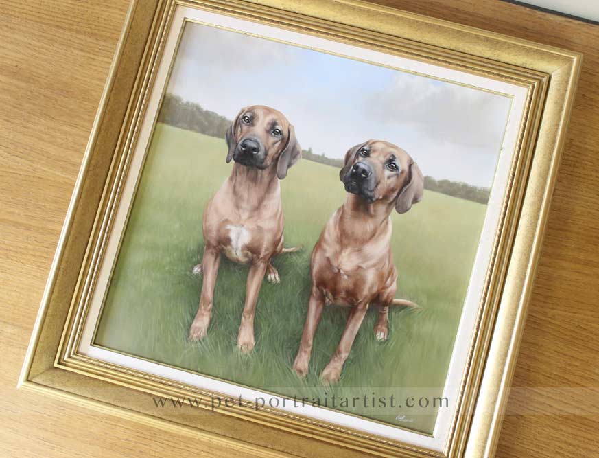 Pet Portrait Commission FAQs: Your Top Questions Answered