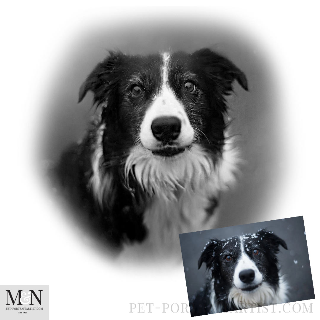 10 Things You Need to Build a Thriving Pet Portraits Business