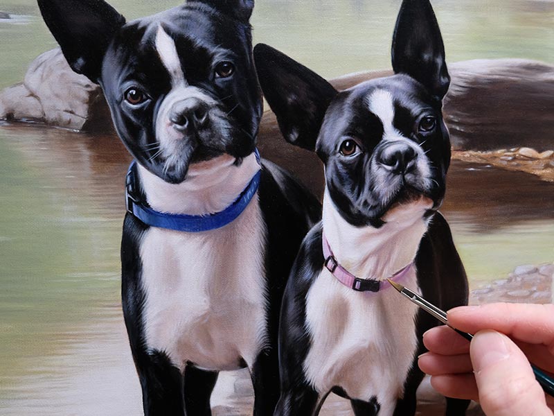 Boston Terrier Oil Portrait of Hudson & Hannah