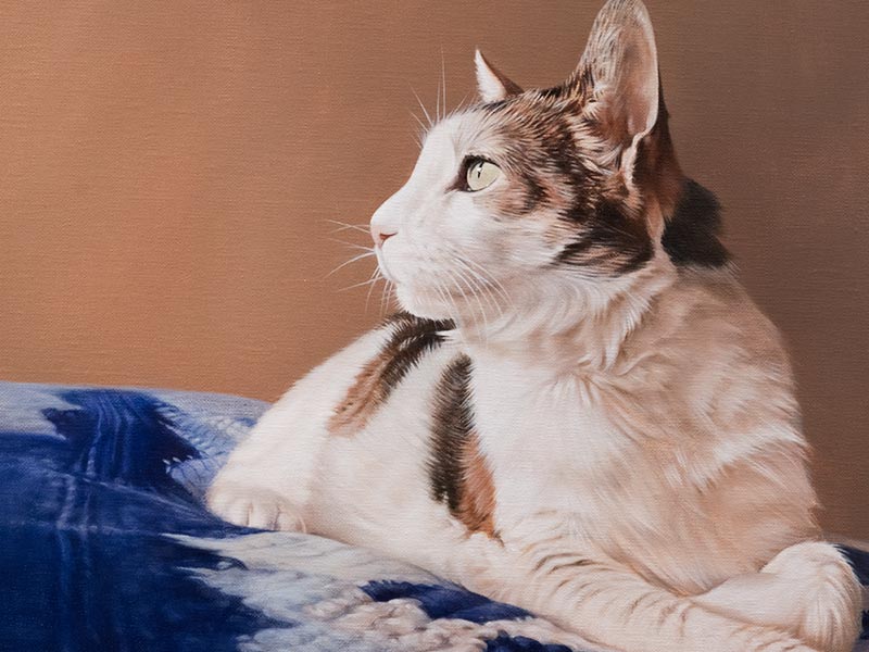 Boone – Cat Portrait in Oils